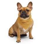 Sebastian & Clementine Orange Waves Pet Cotton Bandana