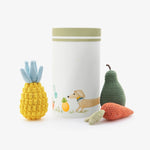 Organic Veggie Toys Bundle