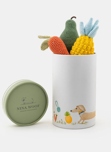 Organic Veggie Toys Bundle