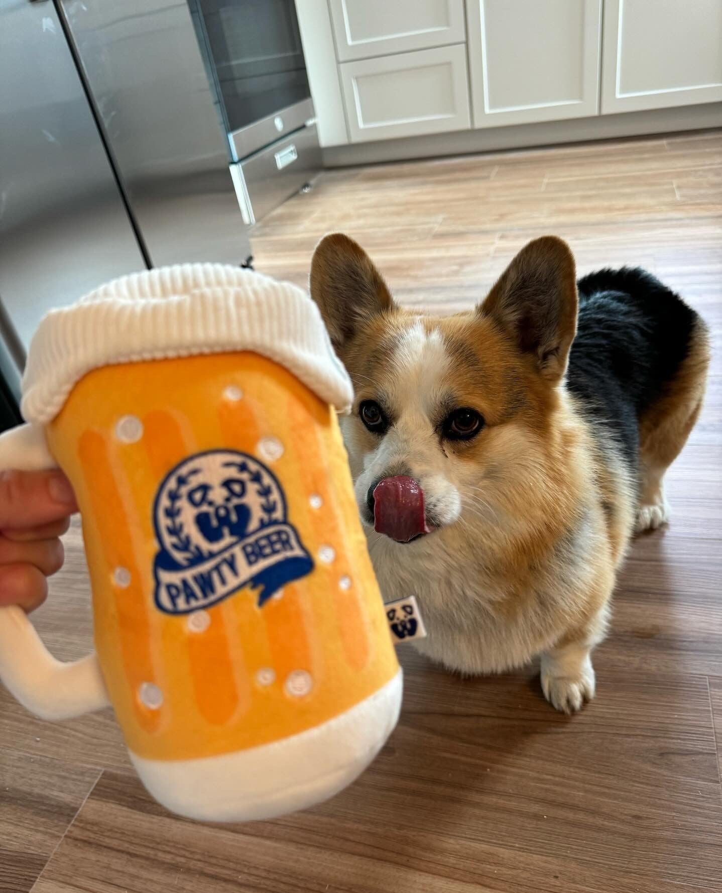 PAWTY Beer