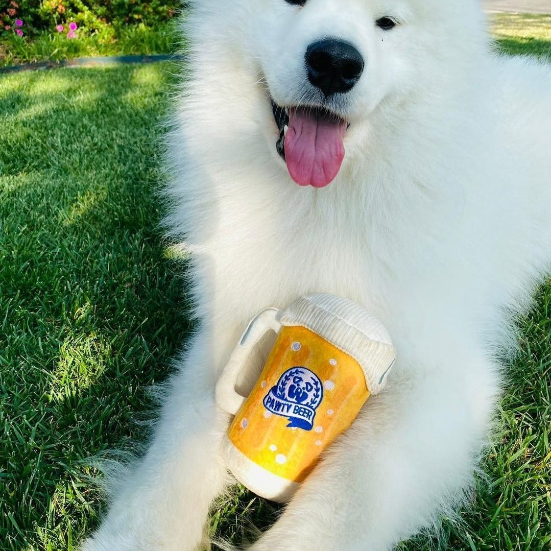 PAWTY Beer