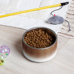 Sebastian & Clementine Brown Swirls Pet Bowl