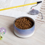 Sebastian & Clementine Venice Pet Bowl