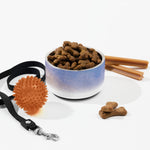 Sebastian & Clementine Venice Pet Bowl