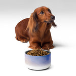 Sebastian & Clementine Venice Pet Bowl