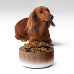 Sebastian & Clementine Brown Swirls Pet Bowl