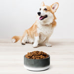 Sebastian & Clementine Gray Circles Pet Bowl