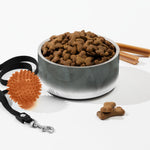 Sebastian & Clementine Gray Circles Pet Bowl