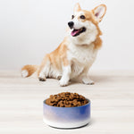 Sebastian & Clementine Venice Pet Bowl