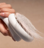 Pet Life ® 'Concepto' Modern Bristle Grooming Pet Deshedder Comb