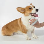 Pet Life ® 'Gyrater' Travel Swivel Pet Grooming Pin Brush
