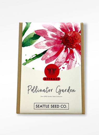 Seed Collection - Pollinator Garden