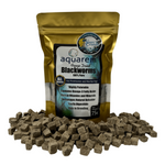 Premium Freeze Dried Blackworms - All Natural