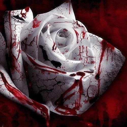 Rare White Blood Rose Plant Flower Seeds Flower Garden Asaka Rare True Blood Rose