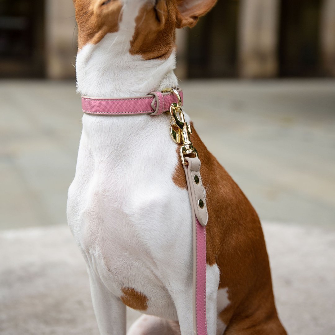 Leash 4ft - Vegan Leather - Rio