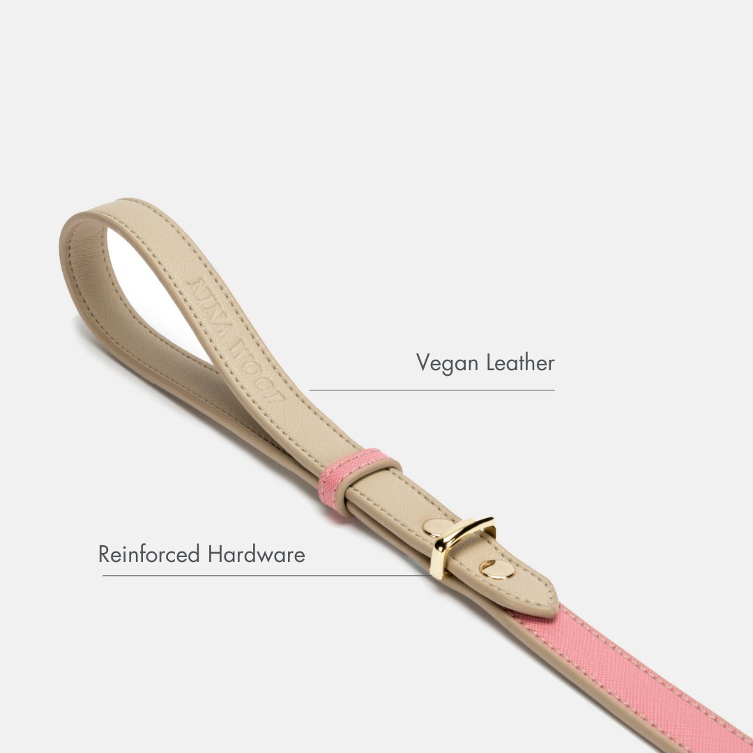 Leash 4ft - Vegan Leather - Rio