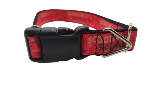 Boot Scootin Boogie Nylon Dog Collar