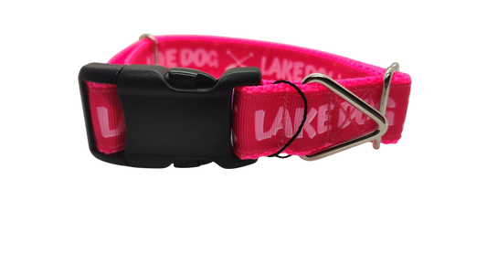 Lake Dog Pink Nylon Dog Collar