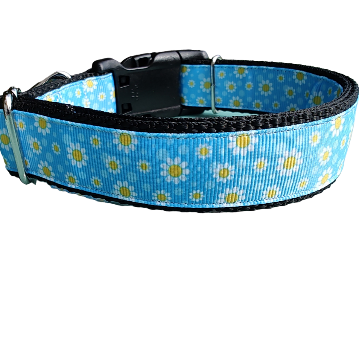 Daisies Nylon Dog Collar