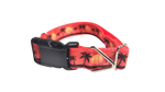 Beach Sunsets Nylon Dog Collar