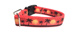 Beach Sunsets Nylon Dog Collar