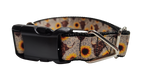 Cows and Sunflowers Western Nylon Dog Collar