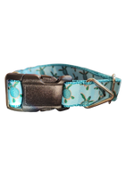Baby Sea Turtles Nylon Dog Collar