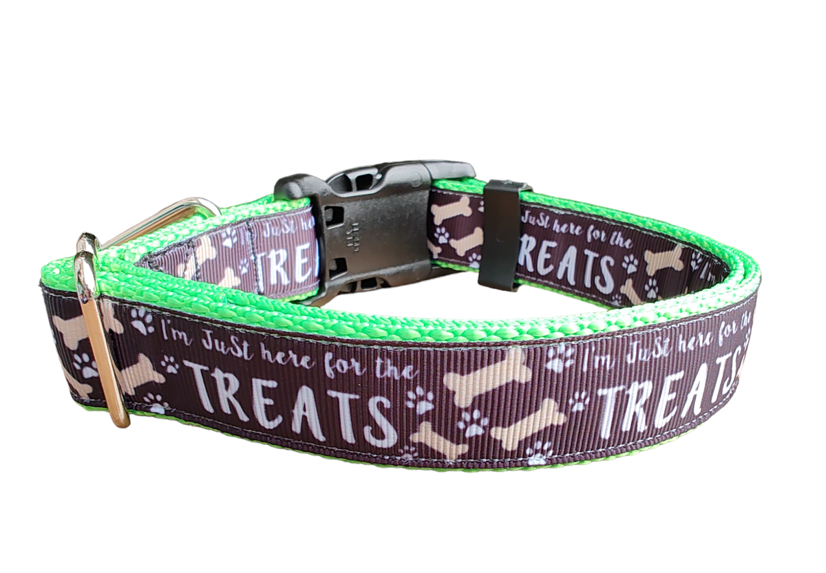 Here For The Treats Neon Green Nylon Dog Collar MD, LG, XL, Leash