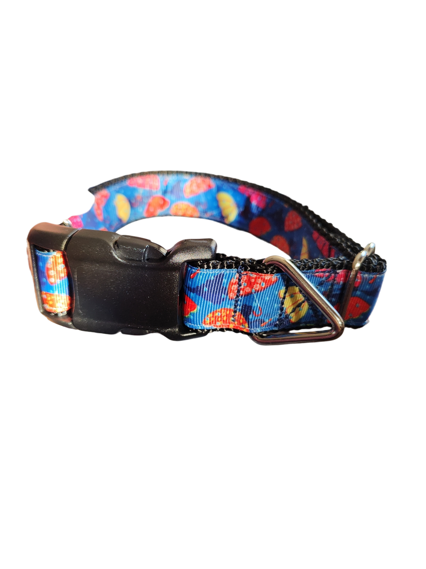Umbrellas Nylon Dog Collar