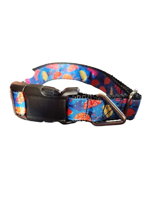 Umbrellas Nylon Dog Collar