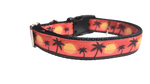 Beach Sunsets Nylon Dog Collar