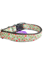 Holly And Ivy Paws Nylon Dog Collar