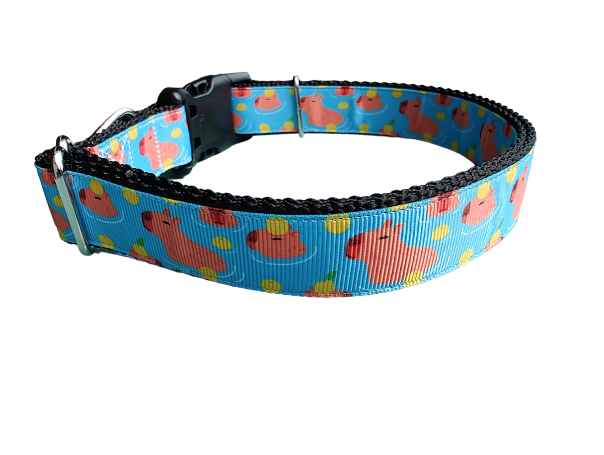 Capybara Nylon Dog Collar