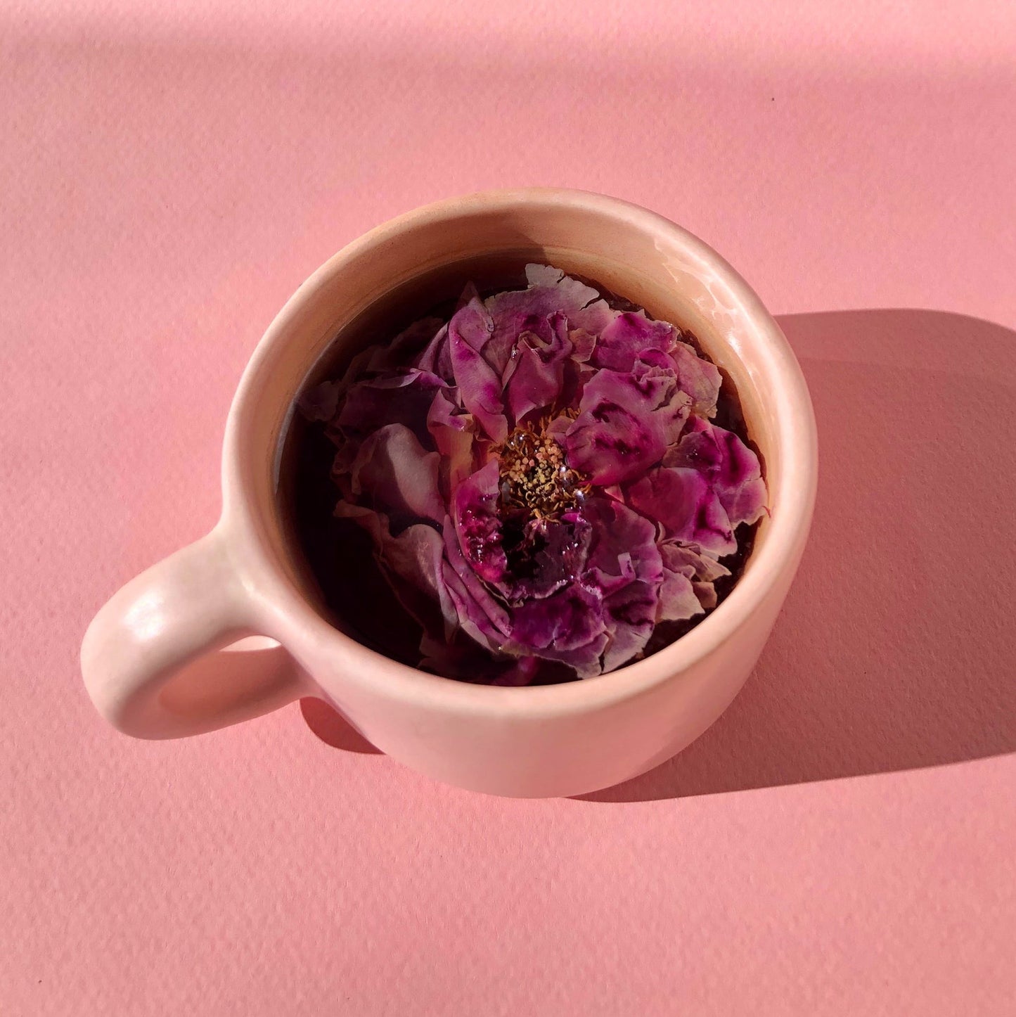 Floral Collection (variety box)
