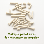 All-Natural, Non-Toxic Plant-Based Cat Litter - 1 Pack (Collective)