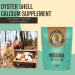 OYSTER SHELL(Shipping Included)