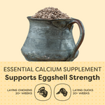 OYSTER SHELL(Shipping Included)