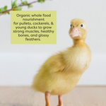 Scratch & Peck Organic Grower Mash(Shipping Included)