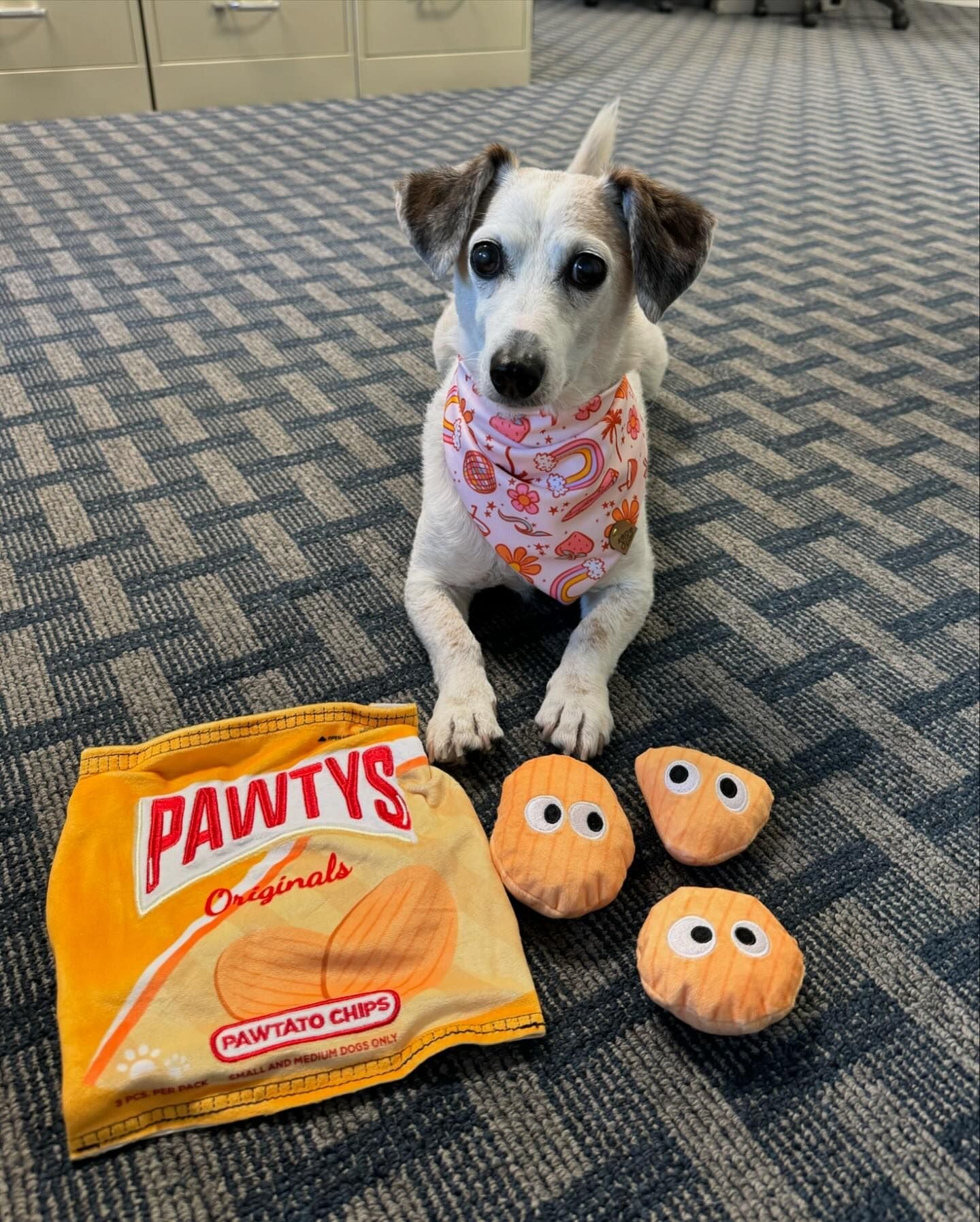 Pawtato Chips