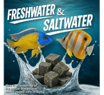 Premium Freeze Dried Blackworms - All Natural