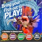 Premium Freeze Dried Blackworms - Color Boost