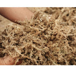 Mosser Lee Sphagnum Moss (7 lt)