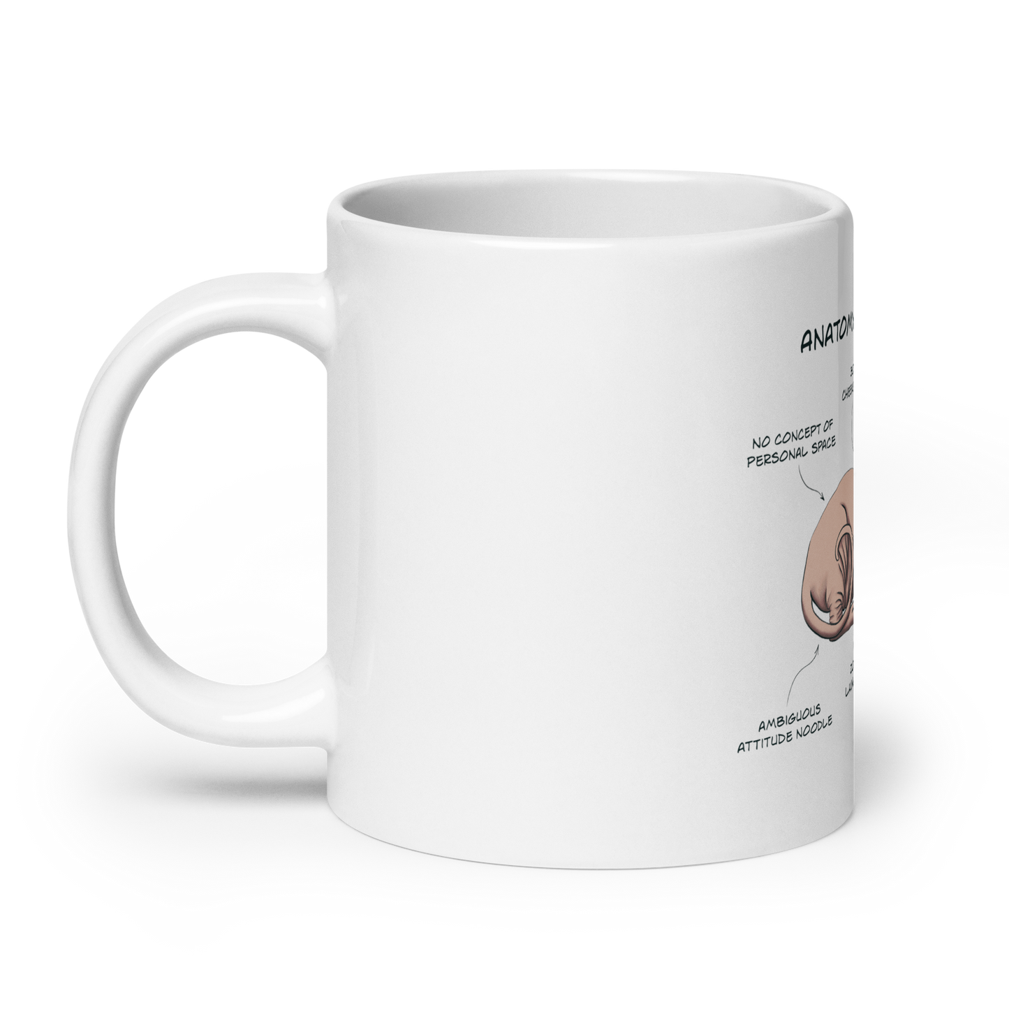 "ANATOMY OF A SPHYNX CAT" COFFEE MUG