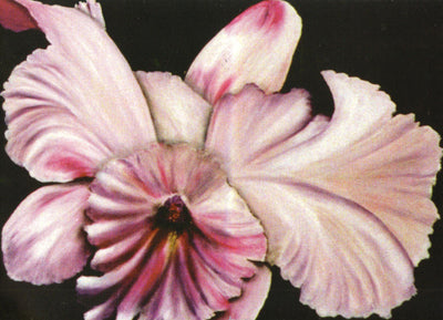 Deepa's Flower Collection Wall Hangings 2.0