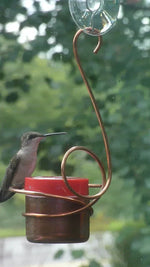 Copper Hummingbird by Nancy Biggins Window Mounted Feeder