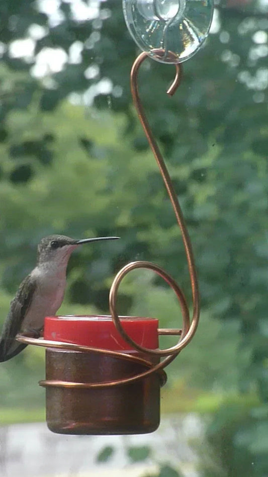 Copper Hummingbird by Nancy Biggins Window Mounted Feeder